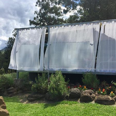 Hotel Tuckers Retreat Canungra Zewnętrze zdjęcie