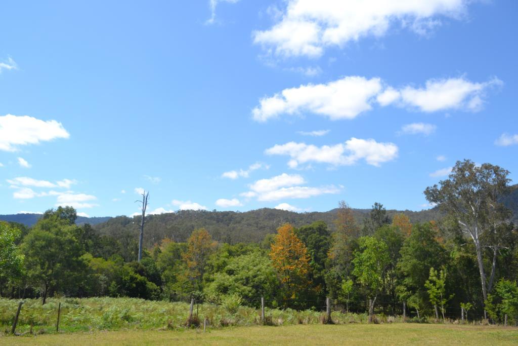 Hotel Tuckers Retreat Canungra Zewnętrze zdjęcie