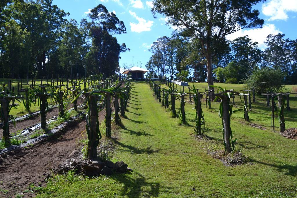 Hotel Tuckers Retreat Canungra Zewnętrze zdjęcie