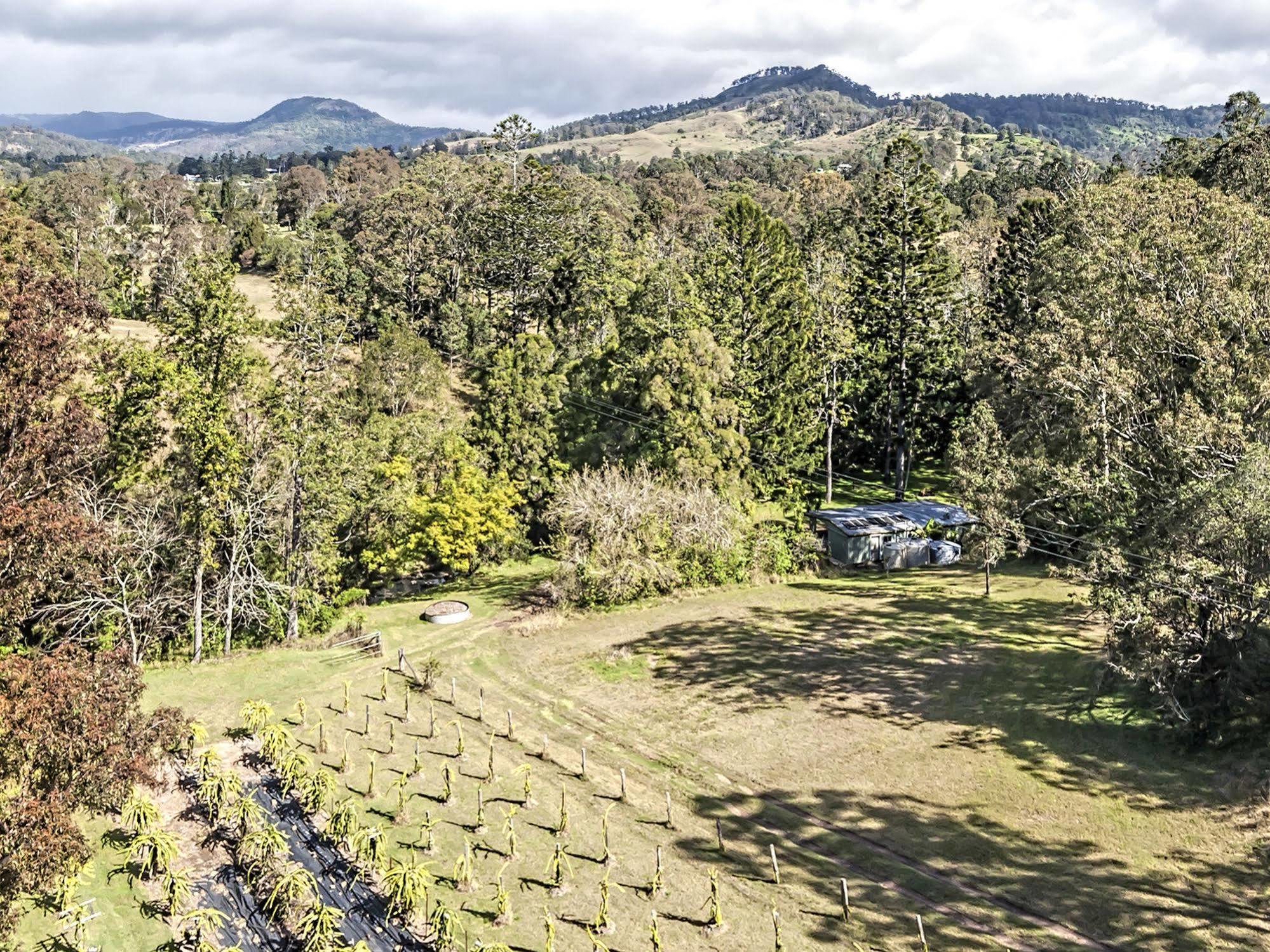 Hotel Tuckers Retreat Canungra Zewnętrze zdjęcie